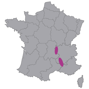 carte-vins-de-france-vallee-du-rhone-vinessen