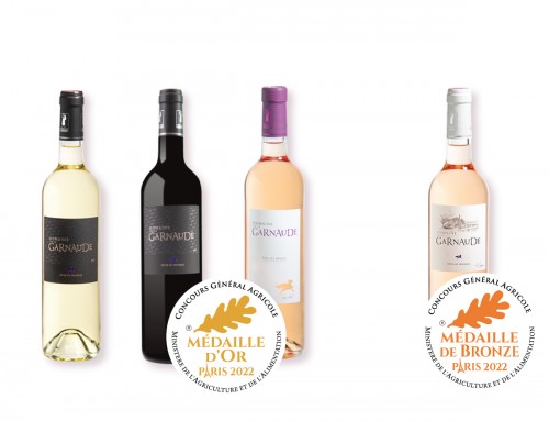 Medal-Holder Wines Paris 2022 – Gold and Bronze